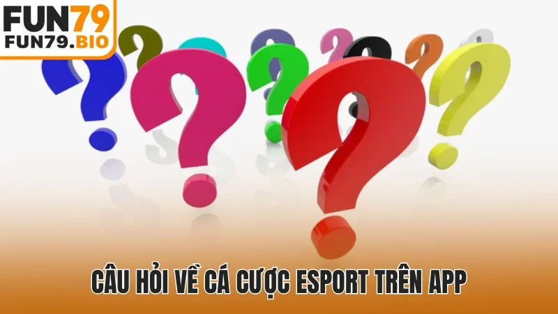 Câu hỏi về cá cược Esport trên app