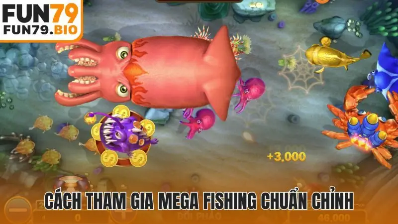 Cách tham gia Mega Fishing chuẩn chỉnh